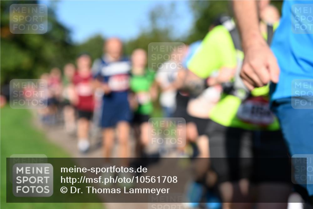 27.09.2026 - 35. Volkslauf durch das schöne Alstertal Dr. Thomas Lammeyer http://msf.ph/oto/10561708 27.09.2026 10:05:36 Laufen  meine-sportfotos.de