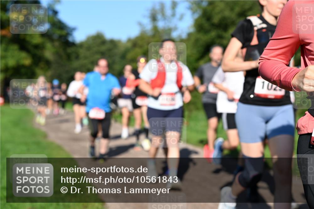 27.09.2026 - 35. Volkslauf durch das schöne Alstertal Dr. Thomas Lammeyer http://msf.ph/oto/10561843 27.09.2026 10:05:57 Laufen 102 meine-sportfotos.de