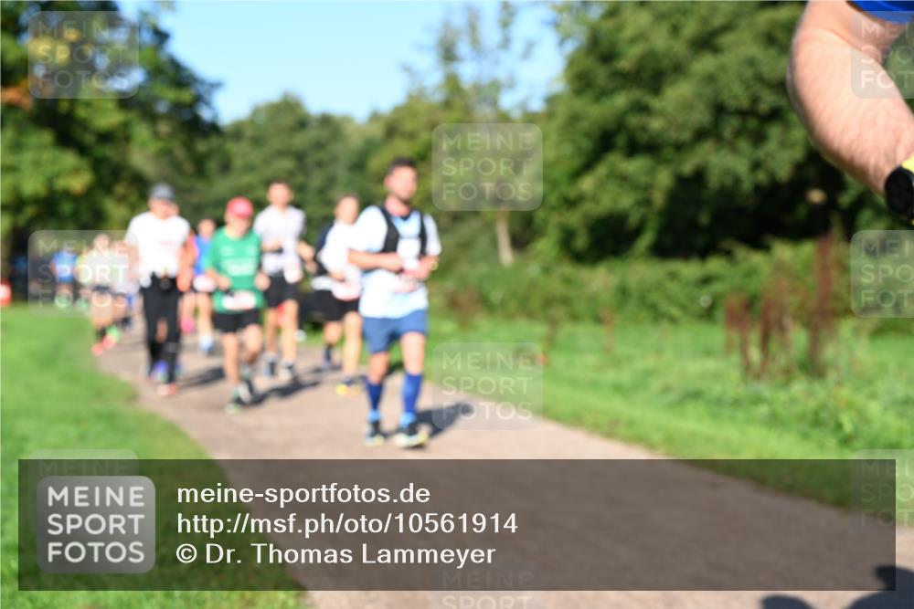 27.09.2026 - 35. Volkslauf durch das schöne Alstertal Dr. Thomas Lammeyer http://msf.ph/oto/10561914 27.09.2026 10:06:09 Laufen  meine-sportfotos.de