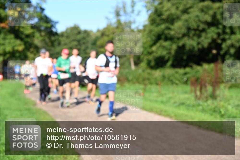27.09.2026 - 35. Volkslauf durch das schöne Alstertal Dr. Thomas Lammeyer http://msf.ph/oto/10561915 27.09.2026 10:06:09 Laufen  meine-sportfotos.de
