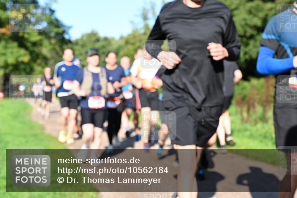27.09.2026 - 35. Volkslauf durch das schöne Alstertal Dr. Thomas Lammeyer http://msf.ph/oto/10562184 27.09.2026 10:06:59 Laufen  meine-sportfotos.de