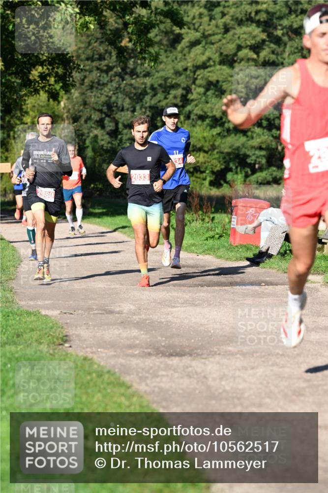 27.09.2026 - 35. Volkslauf durch das schöne Alstertal Dr. Thomas Lammeyer http://msf.ph/oto/10562517 27.09.2026 10:23:55 Laufen 70, 3, 2980, 2033, 34, 167 meine-sportfotos.de