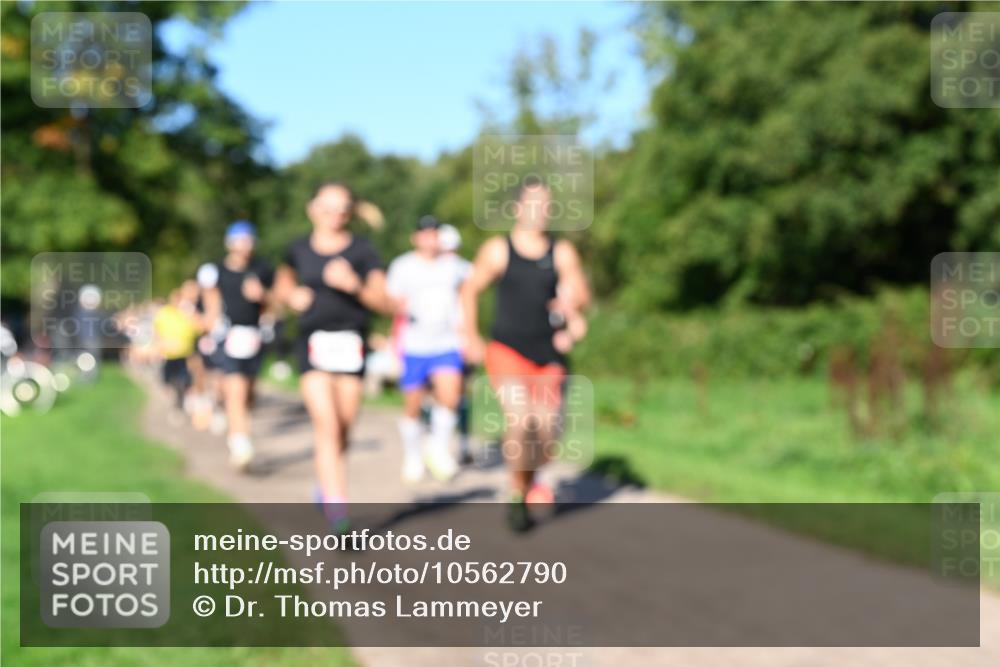 27.09.2026 - 35. Volkslauf durch das schöne Alstertal Dr. Thomas Lammeyer http://msf.ph/oto/10562790 27.09.2026 10:24:50 Laufen  meine-sportfotos.de