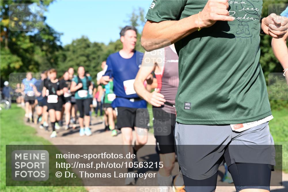 27.09.2026 - 35. Volkslauf durch das schöne Alstertal Dr. Thomas Lammeyer http://msf.ph/oto/10563215 27.09.2026 10:26:14 Laufen 000 meine-sportfotos.de