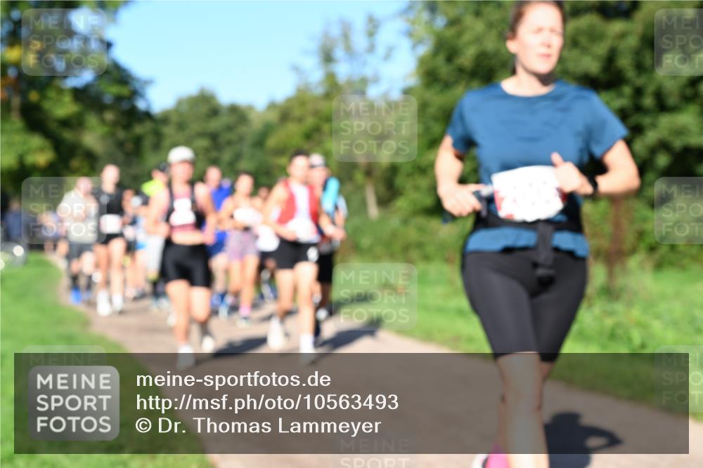 27.09.2026 - 35. Volkslauf durch das schöne Alstertal Dr. Thomas Lammeyer http://msf.ph/oto/10563493 27.09.2026 10:27:01 Laufen  meine-sportfotos.de