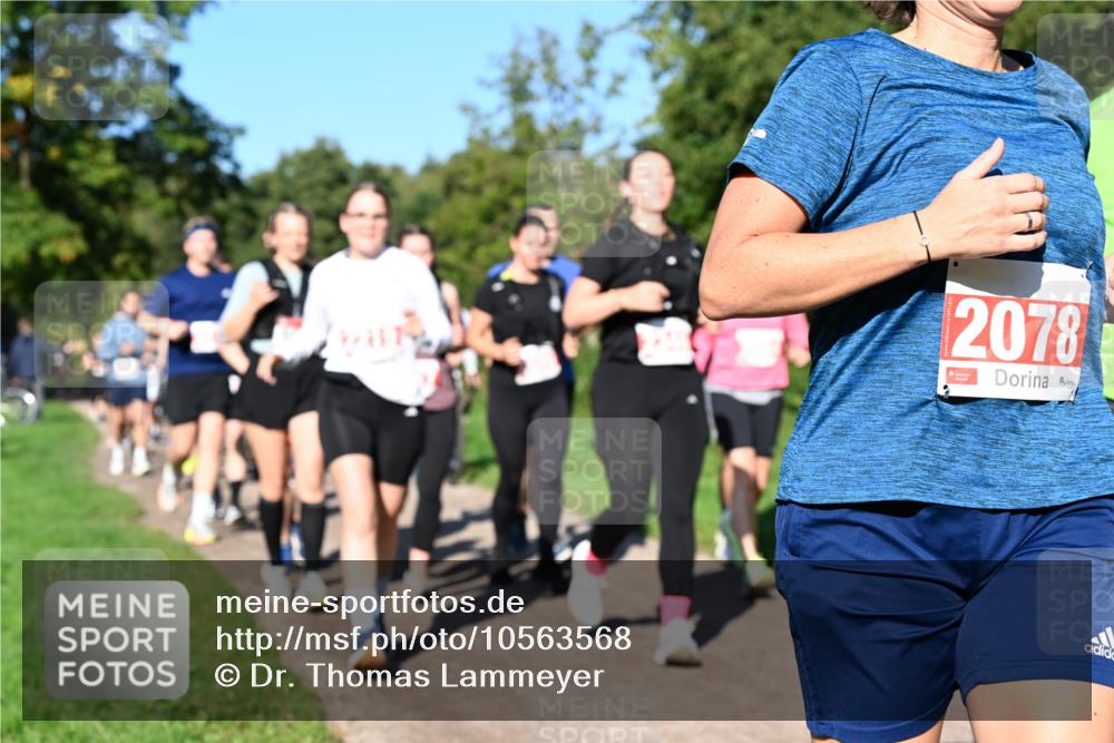 27.09.2026 - 35. Volkslauf durch das schöne Alstertal Dr. Thomas Lammeyer http://msf.ph/oto/10563568 27.09.2026 10:27:13 Laufen 2078 meine-sportfotos.de