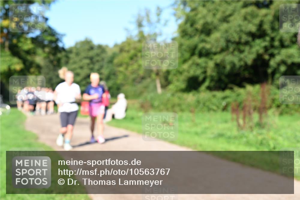 27.09.2026 - 35. Volkslauf durch das schöne Alstertal Dr. Thomas Lammeyer http://msf.ph/oto/10563767 27.09.2026 10:27:46 Laufen  meine-sportfotos.de
