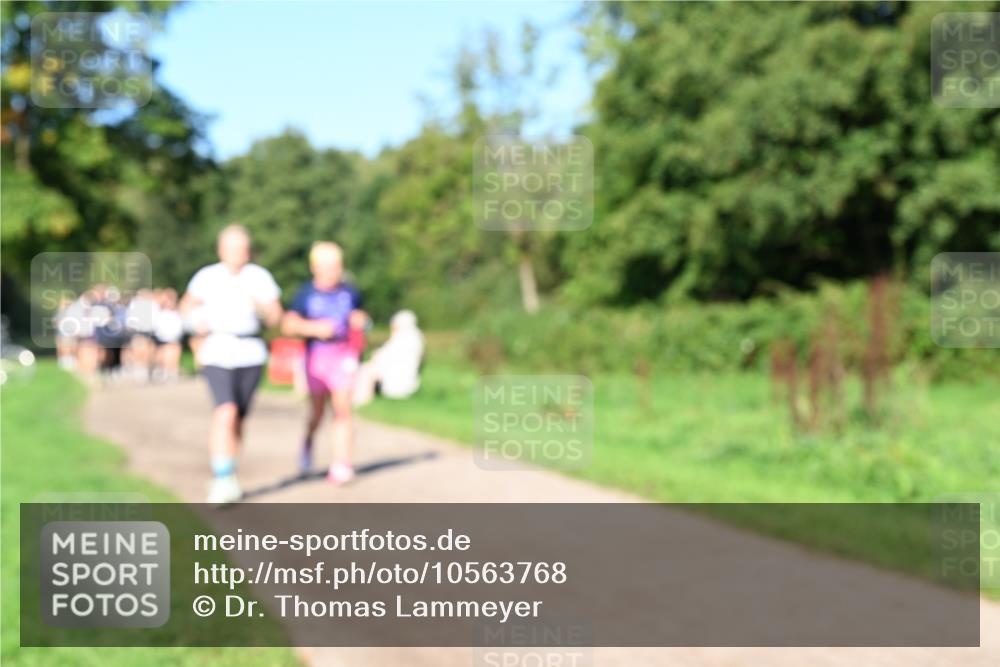 27.09.2026 - 35. Volkslauf durch das schöne Alstertal Dr. Thomas Lammeyer http://msf.ph/oto/10563768 27.09.2026 10:27:46 Laufen  meine-sportfotos.de