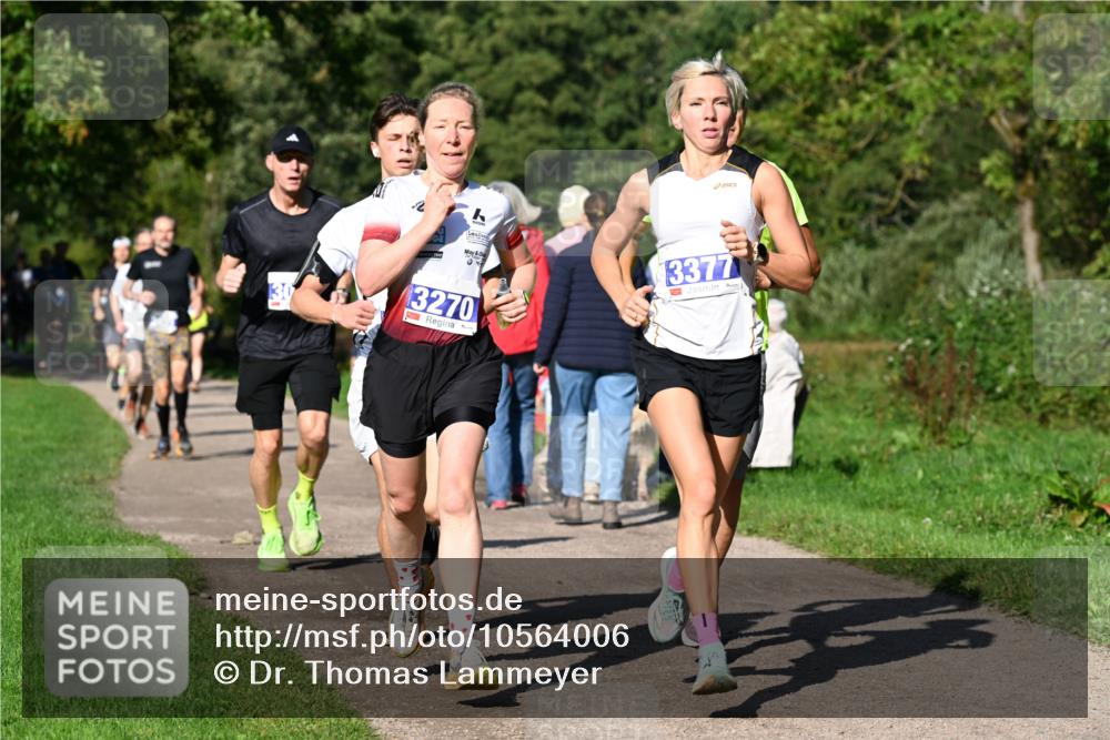 27.09.2026 - 35. Volkslauf durch das schöne Alstertal Dr. Thomas Lammeyer http://msf.ph/oto/10564006 27.09.2026 10:34:01 Laufen 2, 3377, 3270 meine-sportfotos.de