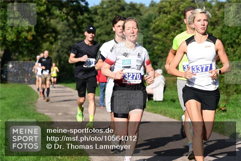27.09.2026 - 35. Volkslauf durch das schöne Alstertal Dr. Thomas Lammeyer http://msf.ph/oto/10564012 27.09.2026 10:34:02 Laufen 3270, 3713377 meine-sportfotos.de