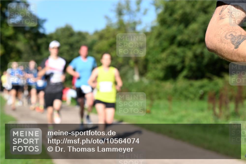 27.09.2026 - 35. Volkslauf durch das schöne Alstertal Dr. Thomas Lammeyer http://msf.ph/oto/10564074 27.09.2026 10:34:12 Laufen  meine-sportfotos.de