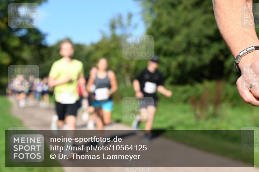 27.09.2026 - 35. Volkslauf durch das schöne Alstertal Dr. Thomas Lammeyer http://msf.ph/oto/10564125 27.09.2026 10:34:20 Laufen  meine-sportfotos.de