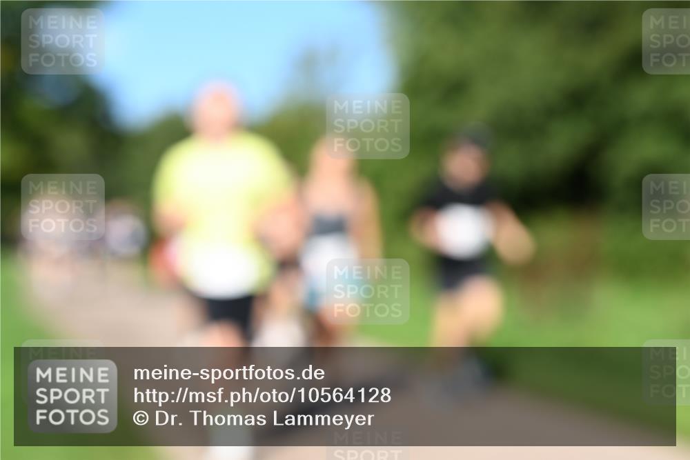 27.09.2026 - 35. Volkslauf durch das schöne Alstertal Dr. Thomas Lammeyer http://msf.ph/oto/10564128 27.09.2026 10:34:20 Laufen  meine-sportfotos.de