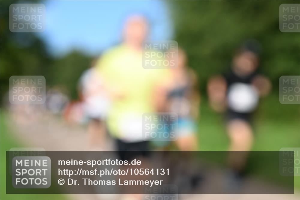27.09.2026 - 35. Volkslauf durch das schöne Alstertal Dr. Thomas Lammeyer http://msf.ph/oto/10564131 27.09.2026 10:34:21 Laufen  meine-sportfotos.de