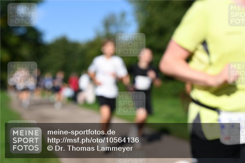 27.09.2026 - 35. Volkslauf durch das schöne Alstertal Dr. Thomas Lammeyer http://msf.ph/oto/10564136 27.09.2026 10:34:21 Laufen  meine-sportfotos.de