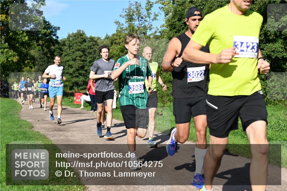 27.09.2026 - 35. Volkslauf durch das schöne Alstertal Dr. Thomas Lammeyer http://msf.ph/oto/10564275 27.09.2026 10:34:50 Laufen 3150, 3988, 3022, 3423 meine-sportfotos.de