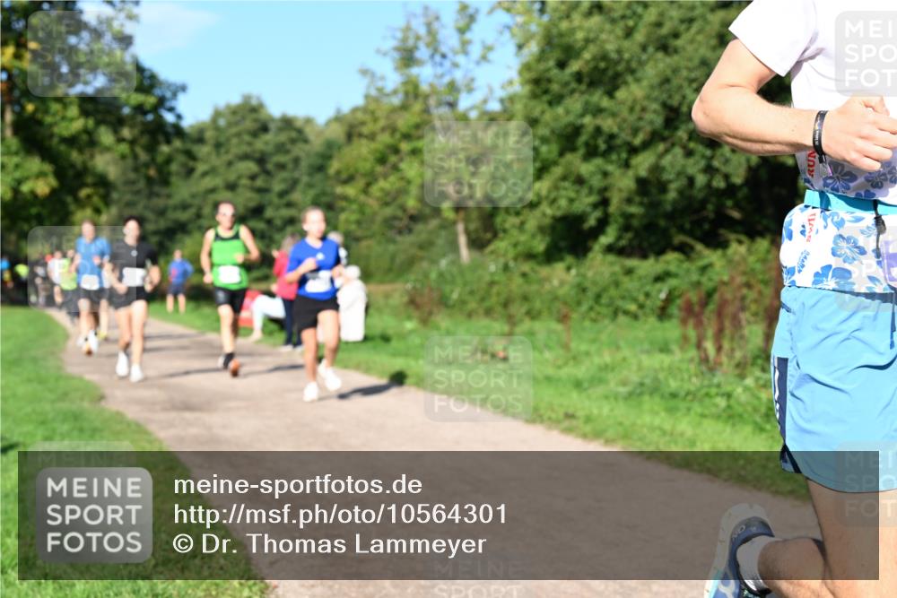 27.09.2026 - 35. Volkslauf durch das schöne Alstertal Dr. Thomas Lammeyer http://msf.ph/oto/10564301 27.09.2026 10:34:54 Laufen  meine-sportfotos.de