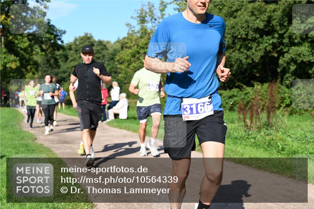 27.09.2026 - 35. Volkslauf durch das schöne Alstertal Dr. Thomas Lammeyer http://msf.ph/oto/10564339 27.09.2026 10:35:00 Laufen 3166 meine-sportfotos.de
