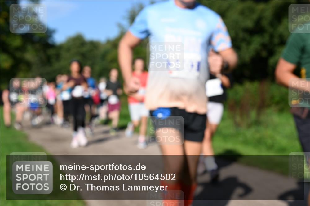 27.09.2026 - 35. Volkslauf durch das schöne Alstertal Dr. Thomas Lammeyer http://msf.ph/oto/10564502 27.09.2026 10:35:26 Laufen  meine-sportfotos.de