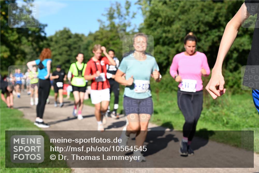 27.09.2026 - 35. Volkslauf durch das schöne Alstertal Dr. Thomas Lammeyer http://msf.ph/oto/10564545 27.09.2026 10:35:32 Laufen  meine-sportfotos.de