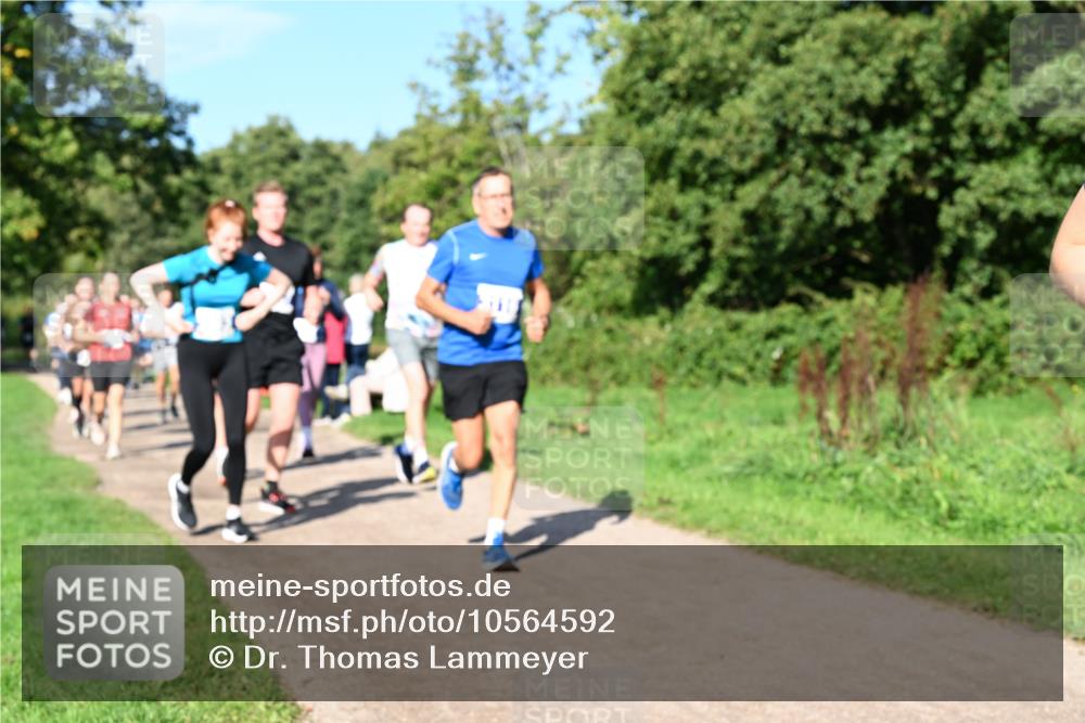 27.09.2026 - 35. Volkslauf durch das schöne Alstertal Dr. Thomas Lammeyer http://msf.ph/oto/10564592 27.09.2026 10:35:39 Laufen  meine-sportfotos.de