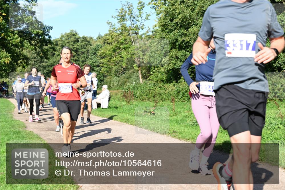 27.09.2026 - 35. Volkslauf durch das schöne Alstertal Dr. Thomas Lammeyer http://msf.ph/oto/10564616 27.09.2026 10:35:43 Laufen 800, 401, 3317 meine-sportfotos.de