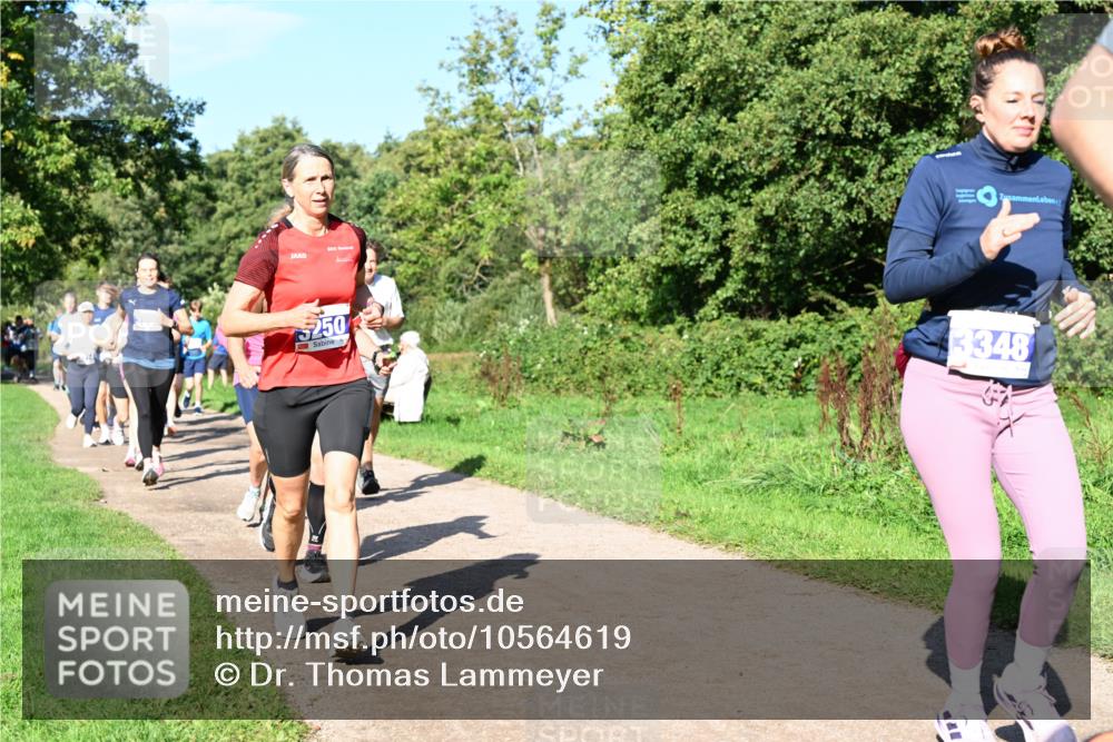 27.09.2026 - 35. Volkslauf durch das schöne Alstertal Dr. Thomas Lammeyer http://msf.ph/oto/10564619 27.09.2026 10:35:43 Laufen 250, 3348 meine-sportfotos.de
