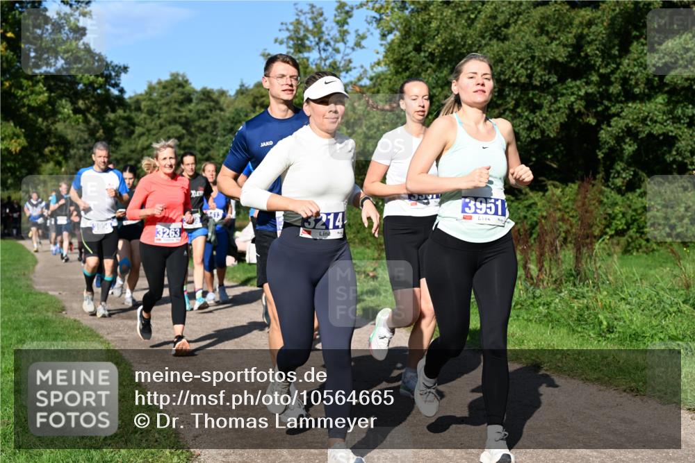 27.09.2026 - 35. Volkslauf durch das schöne Alstertal Dr. Thomas Lammeyer http://msf.ph/oto/10564665 27.09.2026 10:35:50 Laufen  meine-sportfotos.de
