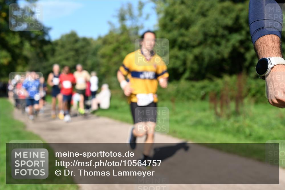 27.09.2026 - 35. Volkslauf durch das schöne Alstertal Dr. Thomas Lammeyer http://msf.ph/oto/10564757 27.09.2026 10:36:04 Laufen  meine-sportfotos.de