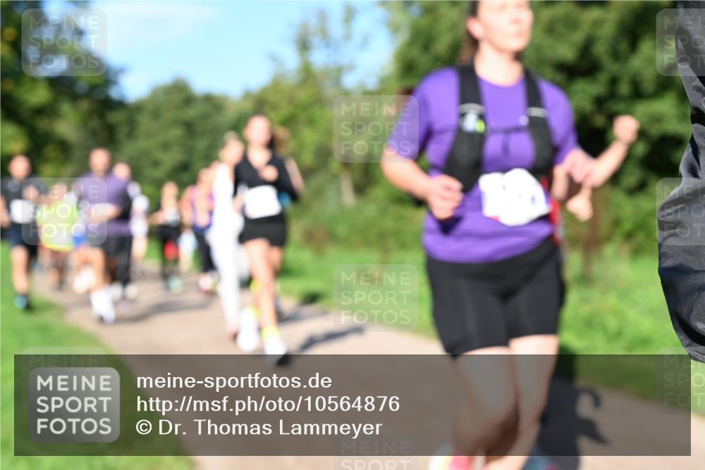 27.09.2026 - 35. Volkslauf durch das schöne Alstertal Dr. Thomas Lammeyer http://msf.ph/oto/10564876 27.09.2026 10:36:21 Laufen  meine-sportfotos.de