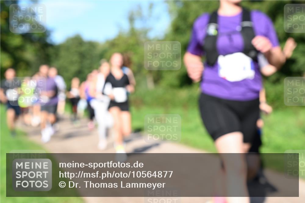 27.09.2026 - 35. Volkslauf durch das schöne Alstertal Dr. Thomas Lammeyer http://msf.ph/oto/10564877 27.09.2026 10:36:21 Laufen  meine-sportfotos.de