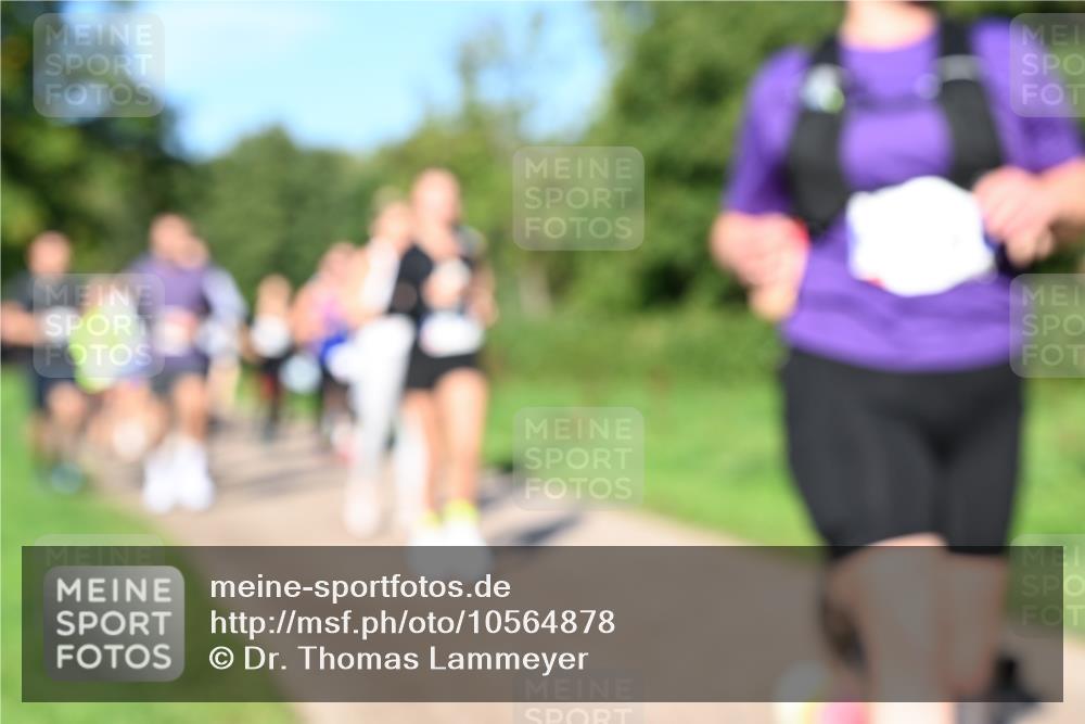 27.09.2026 - 35. Volkslauf durch das schöne Alstertal Dr. Thomas Lammeyer http://msf.ph/oto/10564878 27.09.2026 10:36:22 Laufen  meine-sportfotos.de