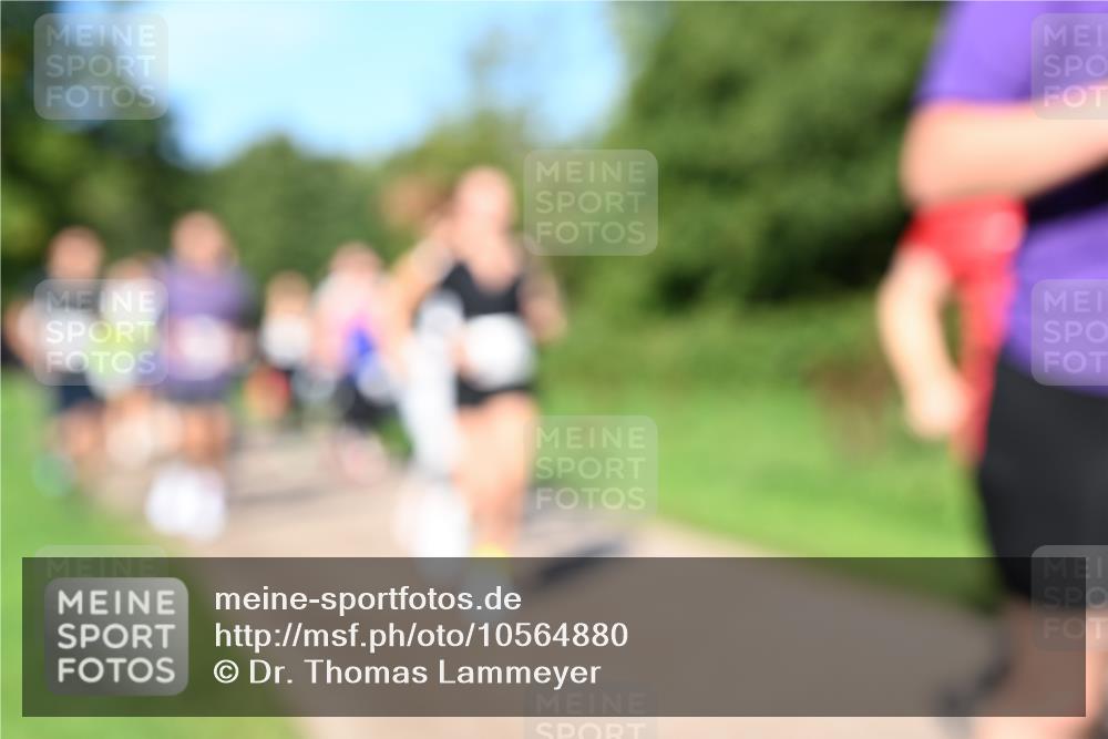 27.09.2026 - 35. Volkslauf durch das schöne Alstertal Dr. Thomas Lammeyer http://msf.ph/oto/10564880 27.09.2026 10:36:22 Laufen  meine-sportfotos.de