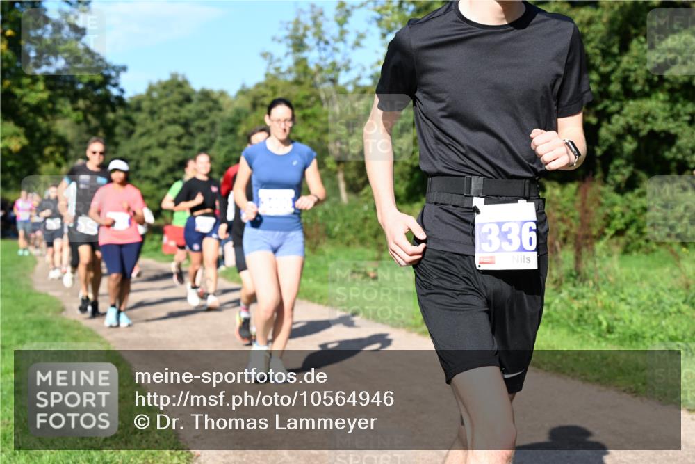 27.09.2026 - 35. Volkslauf durch das schöne Alstertal Dr. Thomas Lammeyer http://msf.ph/oto/10564946 27.09.2026 10:36:31 Laufen 336 meine-sportfotos.de