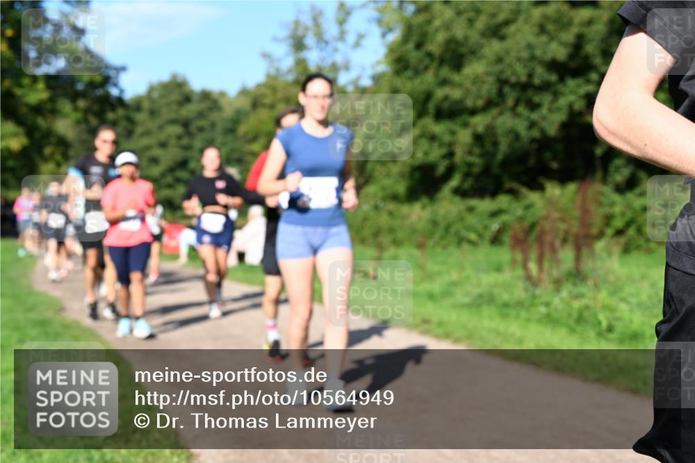 27.09.2026 - 35. Volkslauf durch das schöne Alstertal Dr. Thomas Lammeyer http://msf.ph/oto/10564949 27.09.2026 10:36:32 Laufen  meine-sportfotos.de