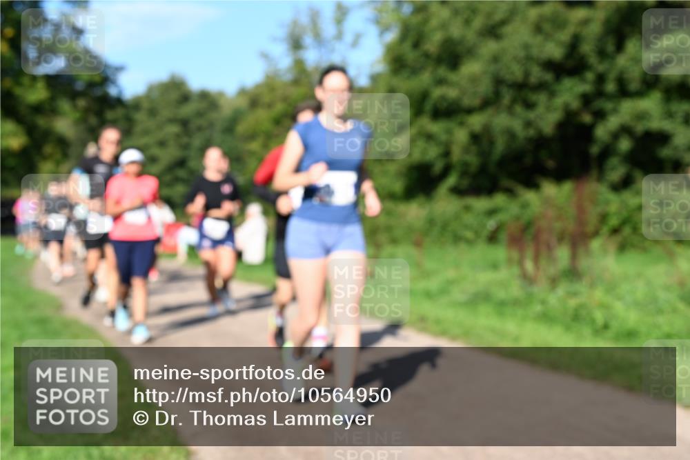 27.09.2026 - 35. Volkslauf durch das schöne Alstertal Dr. Thomas Lammeyer http://msf.ph/oto/10564950 27.09.2026 10:36:32 Laufen  meine-sportfotos.de