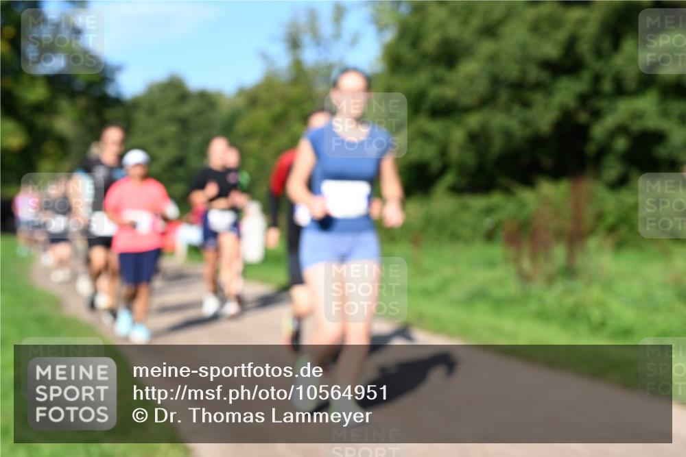 27.09.2026 - 35. Volkslauf durch das schöne Alstertal Dr. Thomas Lammeyer http://msf.ph/oto/10564951 27.09.2026 10:36:32 Laufen  meine-sportfotos.de