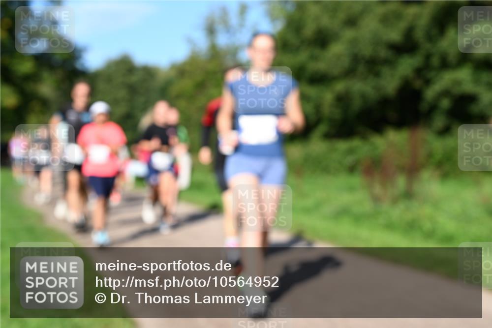 27.09.2026 - 35. Volkslauf durch das schöne Alstertal Dr. Thomas Lammeyer http://msf.ph/oto/10564952 27.09.2026 10:36:32 Laufen  meine-sportfotos.de