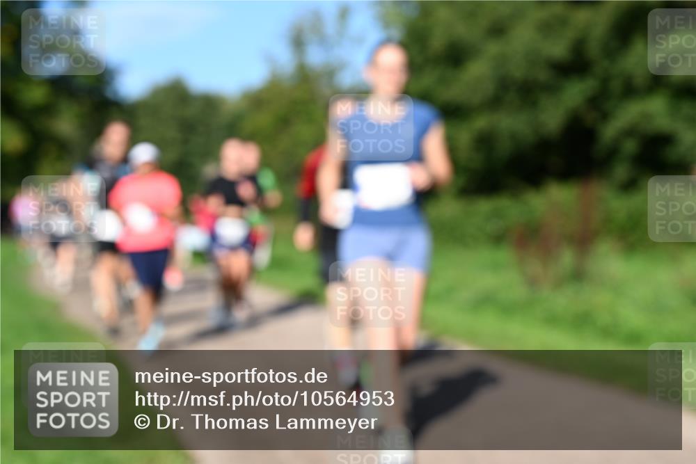 27.09.2026 - 35. Volkslauf durch das schöne Alstertal Dr. Thomas Lammeyer http://msf.ph/oto/10564953 27.09.2026 10:36:32 Laufen  meine-sportfotos.de