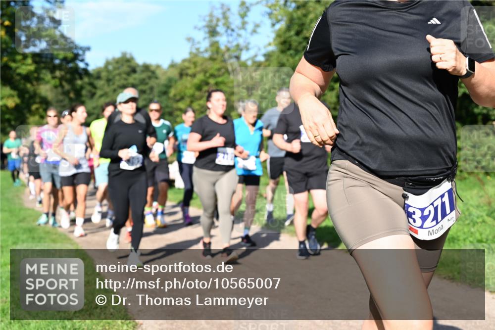 27.09.2026 - 35. Volkslauf durch das schöne Alstertal Dr. Thomas Lammeyer http://msf.ph/oto/10565007 27.09.2026 10:36:40 Laufen 271 meine-sportfotos.de