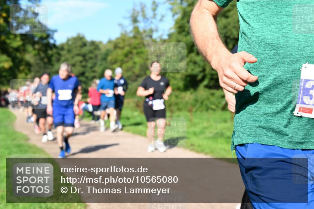 27.09.2026 - 35. Volkslauf durch das schöne Alstertal Dr. Thomas Lammeyer http://msf.ph/oto/10565080 27.09.2026 10:36:51 Laufen  meine-sportfotos.de
