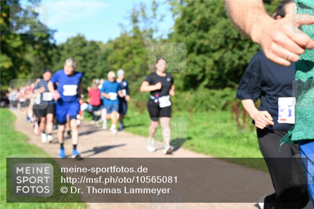 27.09.2026 - 35. Volkslauf durch das schöne Alstertal Dr. Thomas Lammeyer http://msf.ph/oto/10565081 27.09.2026 10:36:51 Laufen  meine-sportfotos.de