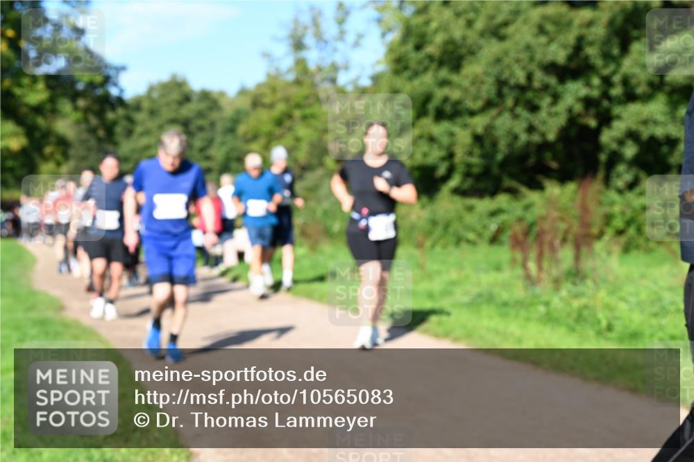 27.09.2026 - 35. Volkslauf durch das schöne Alstertal Dr. Thomas Lammeyer http://msf.ph/oto/10565083 27.09.2026 10:36:52 Laufen  meine-sportfotos.de