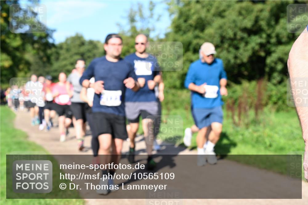 27.09.2026 - 35. Volkslauf durch das schöne Alstertal Dr. Thomas Lammeyer http://msf.ph/oto/10565109 27.09.2026 10:36:55 Laufen  meine-sportfotos.de