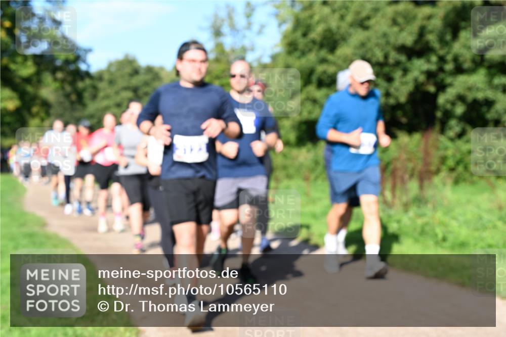 27.09.2026 - 35. Volkslauf durch das schöne Alstertal Dr. Thomas Lammeyer http://msf.ph/oto/10565110 27.09.2026 10:36:55 Laufen  meine-sportfotos.de