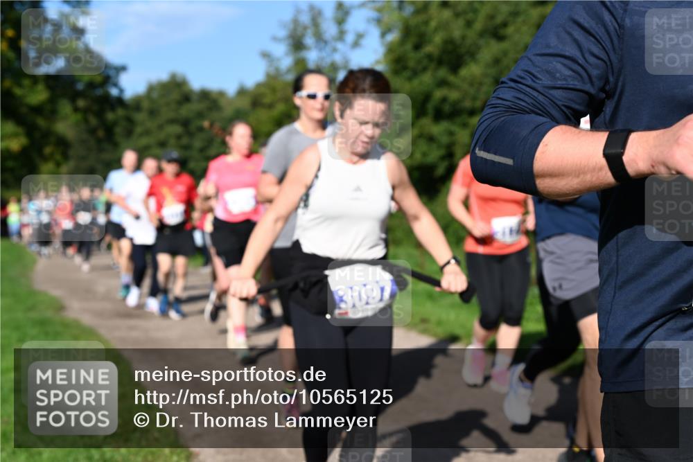 27.09.2026 - 35. Volkslauf durch das schöne Alstertal Dr. Thomas Lammeyer http://msf.ph/oto/10565125 27.09.2026 10:36:57 Laufen 3097 meine-sportfotos.de