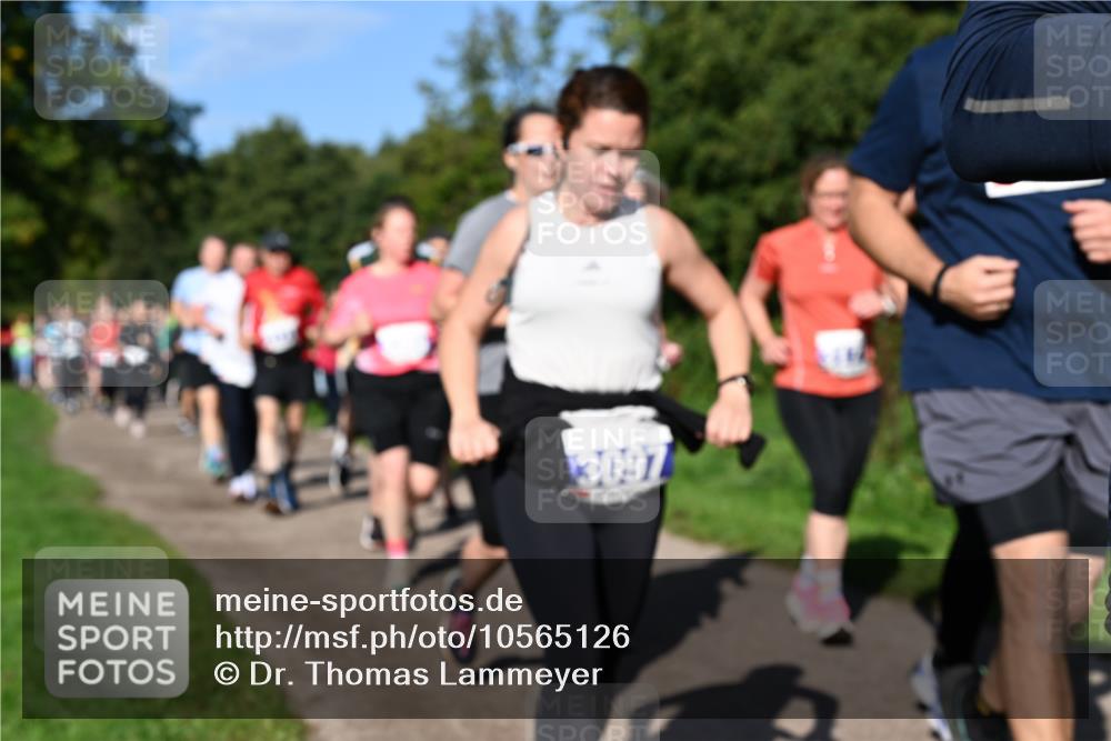 27.09.2026 - 35. Volkslauf durch das schöne Alstertal Dr. Thomas Lammeyer http://msf.ph/oto/10565126 27.09.2026 10:36:57 Laufen 3097 meine-sportfotos.de
