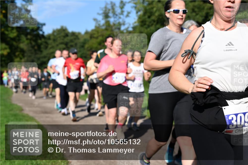 27.09.2026 - 35. Volkslauf durch das schöne Alstertal Dr. Thomas Lammeyer http://msf.ph/oto/10565132 27.09.2026 10:36:57 Laufen 309 meine-sportfotos.de