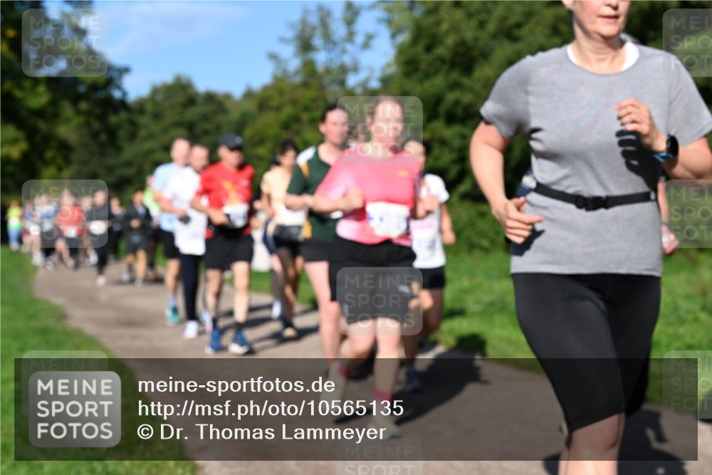 27.09.2026 - 35. Volkslauf durch das schöne Alstertal Dr. Thomas Lammeyer http://msf.ph/oto/10565135 27.09.2026 10:36:58 Laufen  meine-sportfotos.de
