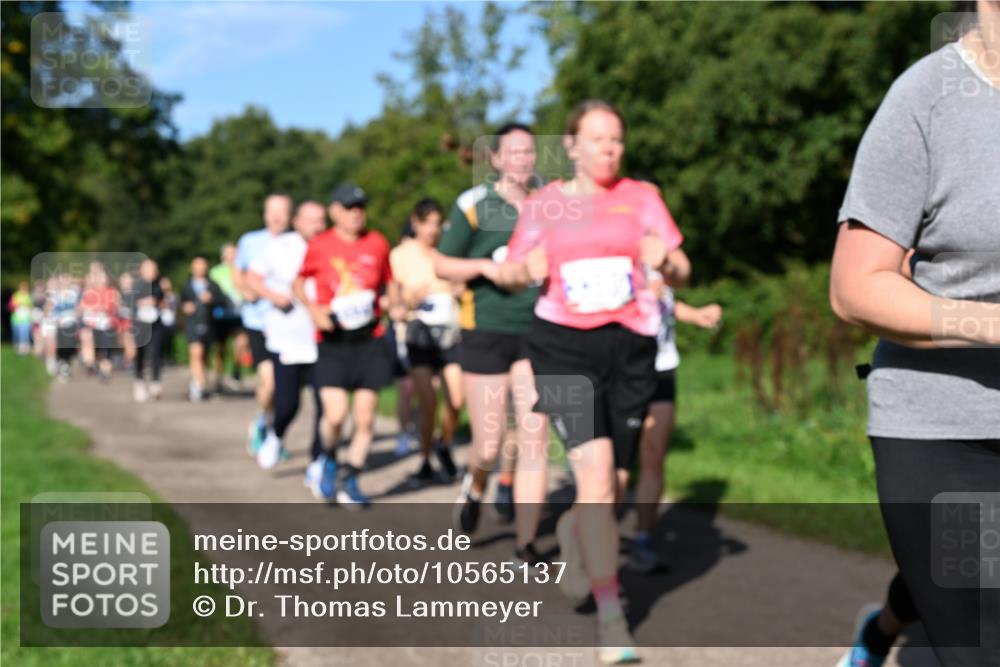 27.09.2026 - 35. Volkslauf durch das schöne Alstertal Dr. Thomas Lammeyer http://msf.ph/oto/10565137 27.09.2026 10:36:58 Laufen  meine-sportfotos.de